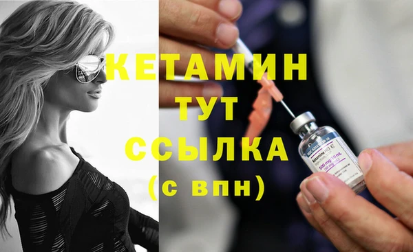 шишки Нея