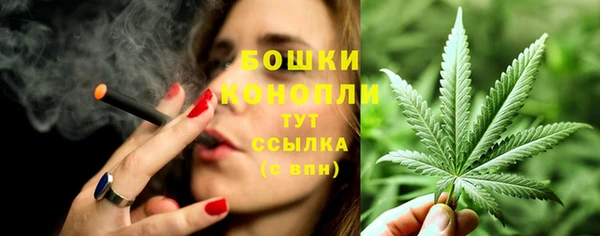 ALPHA-PVP Новозыбков