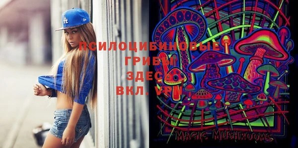 МДМА Новодвинск