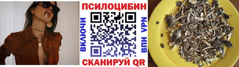 Псилоцибиновые грибы мицелий  Кяхта 